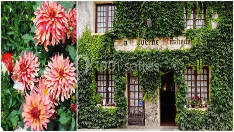 Location salle Saint-Chef (Isère) - La Taverne Rustique #1