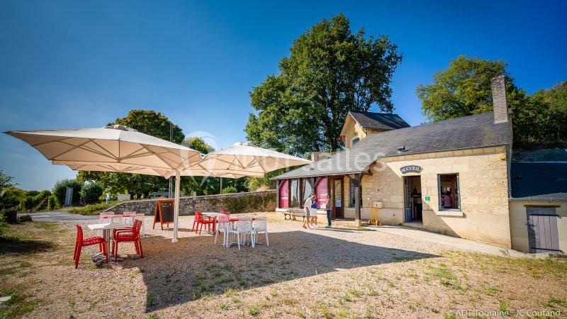 Location salle Bourgueil (Indre-et-Loire) - Cave de la Dive Bouteille #1