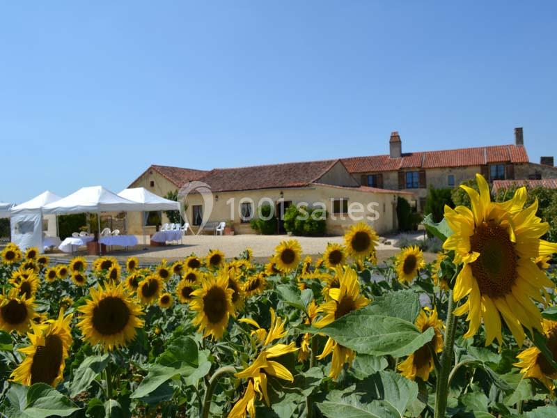 Location salle Tigné (Maine-et-Loire) - Le Mas D'anjou #1